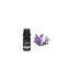 One Bottle of 100% Pure Essential Oil 10ml by Random
