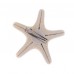 Fashionable Starfish Sea Star Hair Clip For Ladies