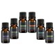 Amazing Aromatherapy Essential Oil Set 6 Bottles