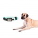 Ideal For Travel Dog LED Light Up Collar