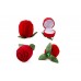 New Rose Jewelry Box Wedding Ring Gift Case Earrings Display Holder
