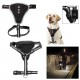 Black Small Size Illuminate LED Harness for Your Pet