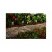 6 Pack Solar Powered Landscape Pathway Lights with Bronze Finish