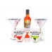 Coastal Cocktails Mixer Holiday Disco Party Granberry Martini Alcohol Gift Set