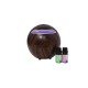 Ultrasonic Aromatherapy Diffuser Globe With 2 Essential Oils
